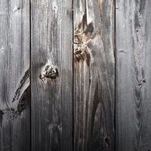 Meet your Posher, Kaylee